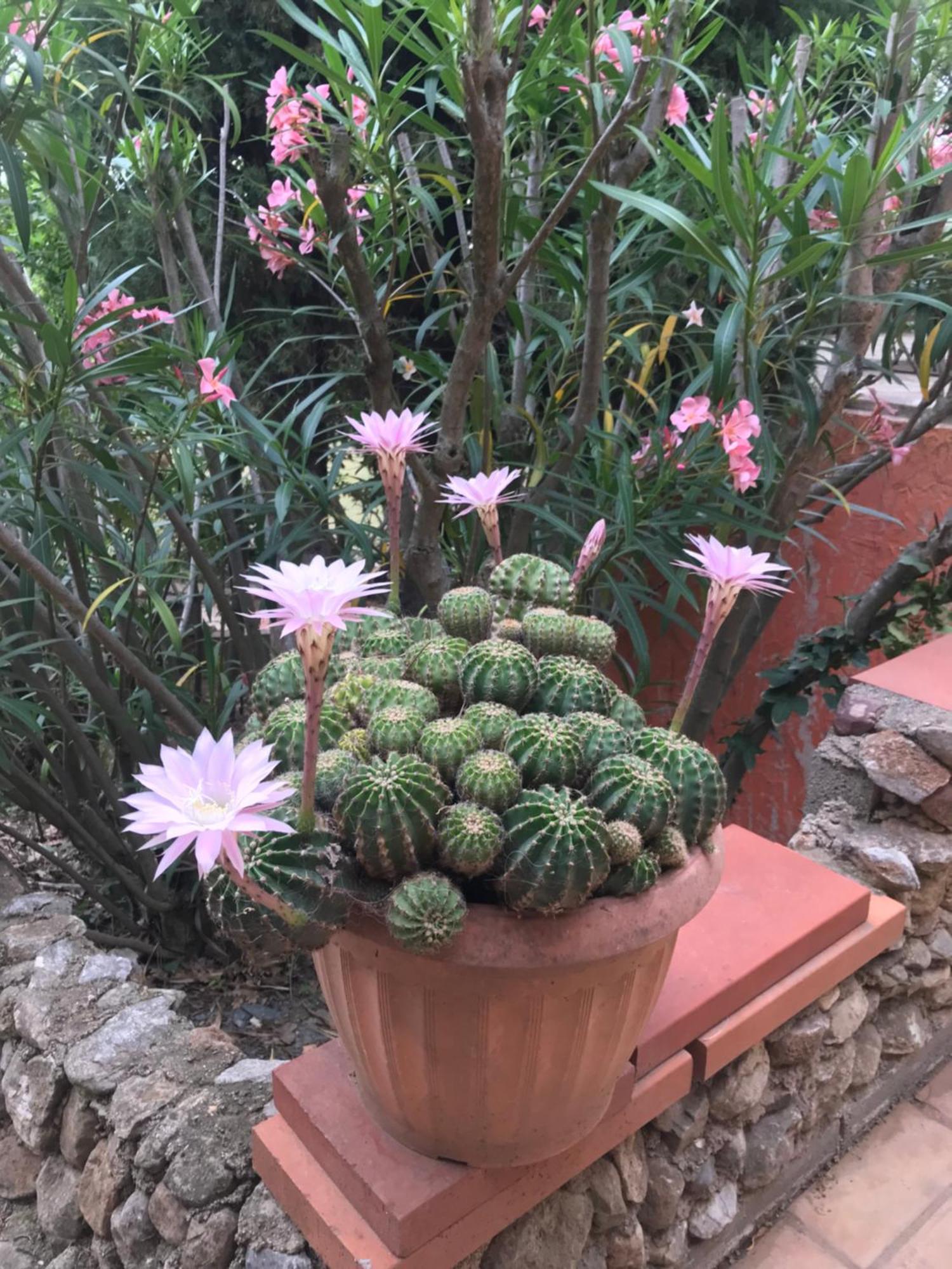 Le Mas Petit 蒂伊 外观 照片